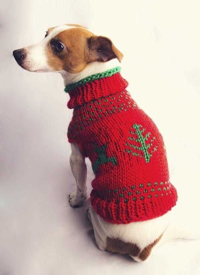 Knitted small dog sweater free patterns