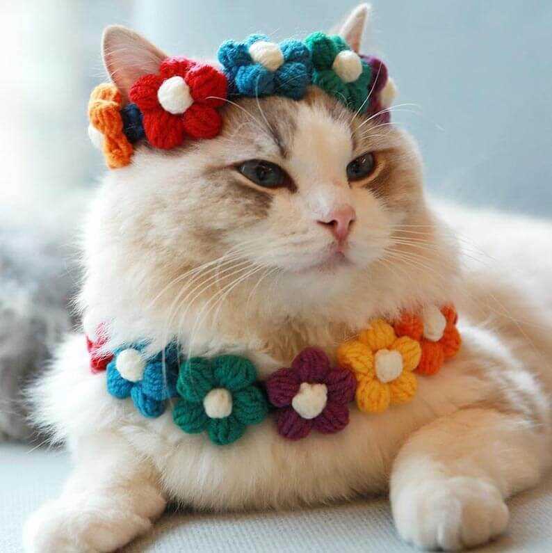 Knitted cat collar pattern