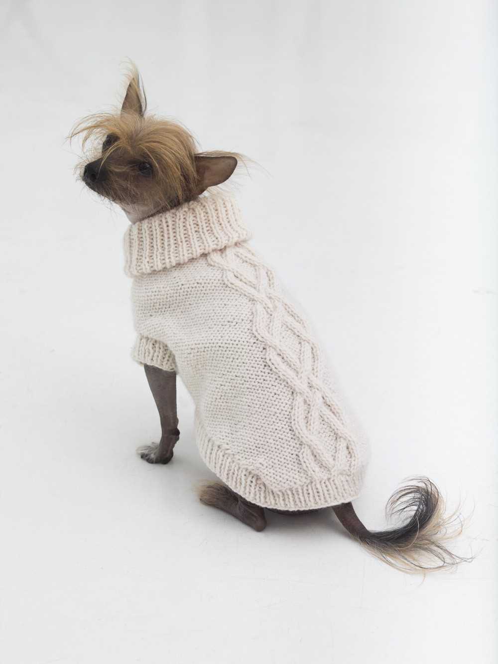 Knitted chihuahua sweater patterns
