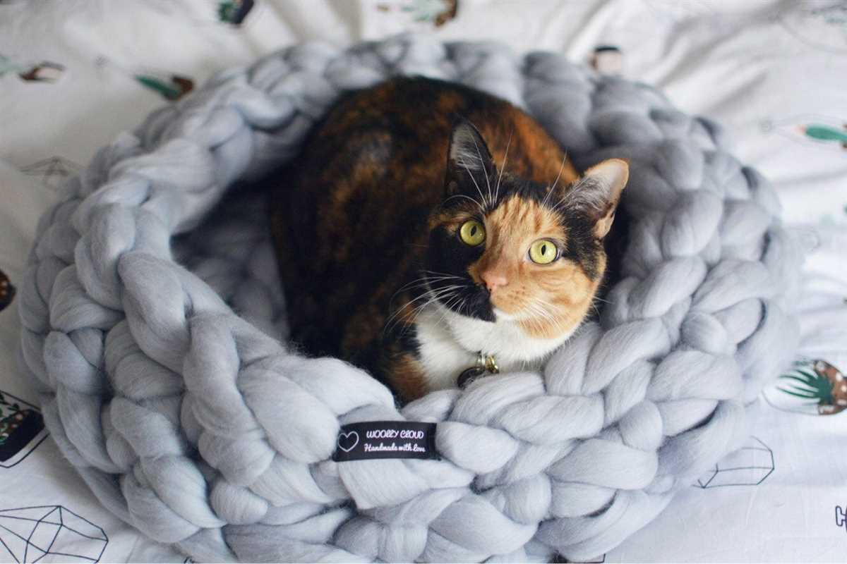 Knitted dog bed pattern