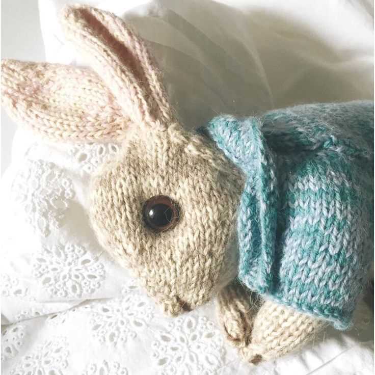 Knitted peter rabbit pattern