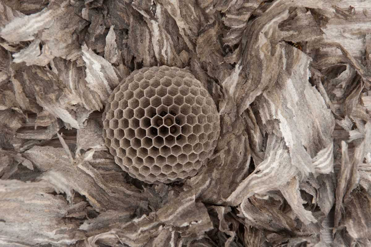 Knitted wasp nest pattern