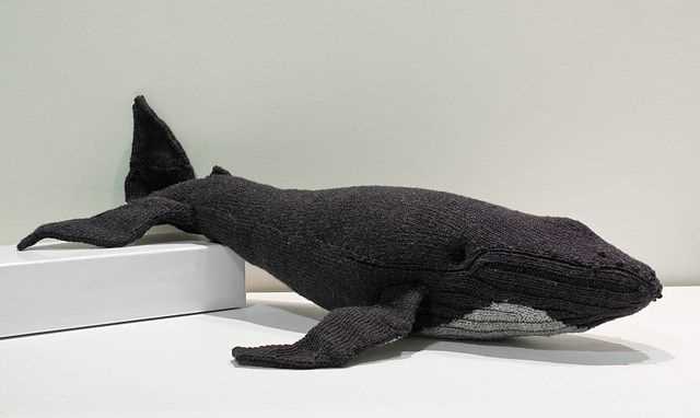 Knitted whale pattern free