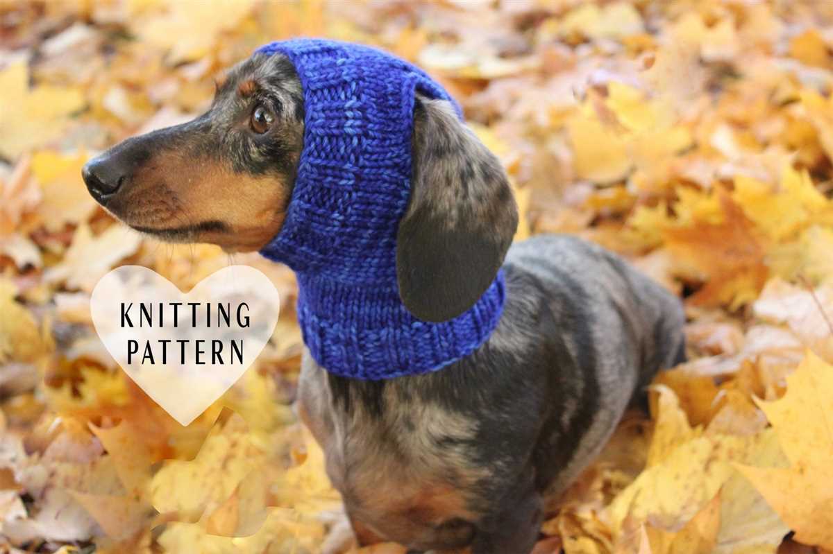 Knitting pattern dachshund sweater