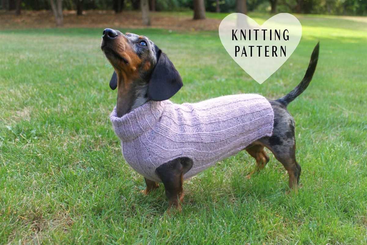 Knitting pattern dachshund sweater