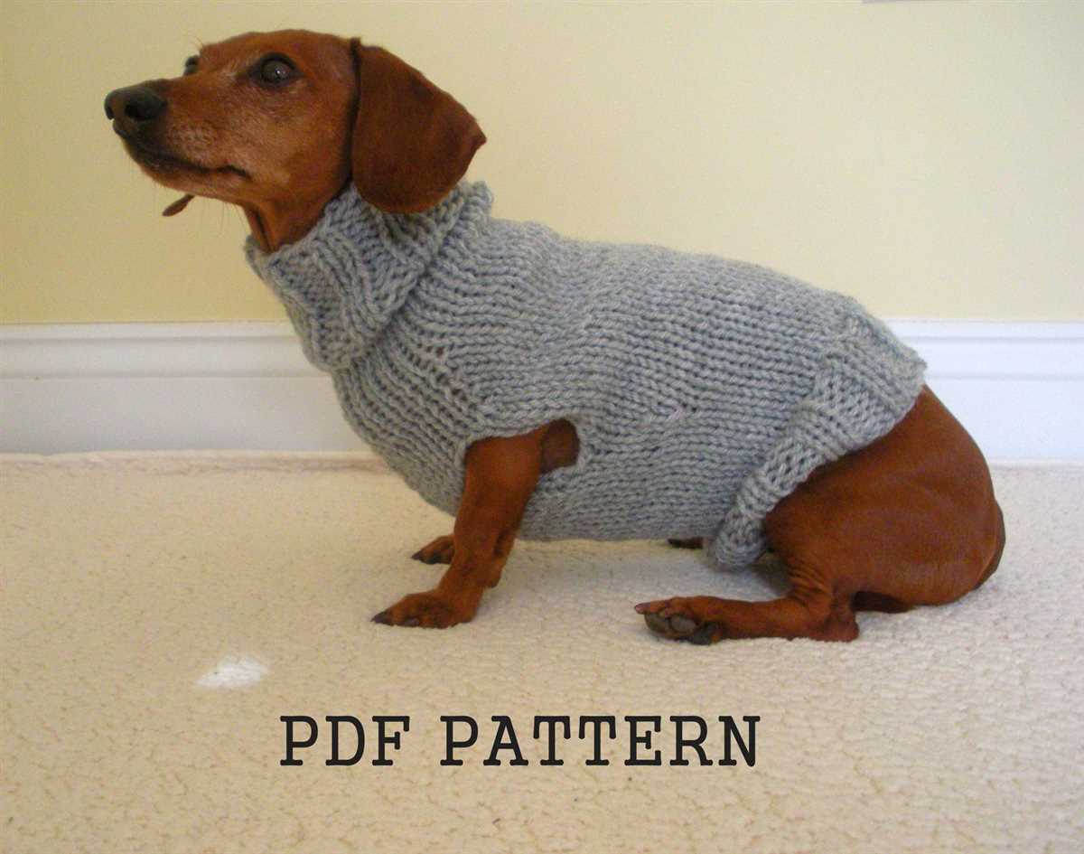 Knitting pattern dachshund sweater
