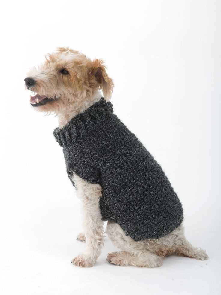 Knitting pattern for dog sweater beginner free