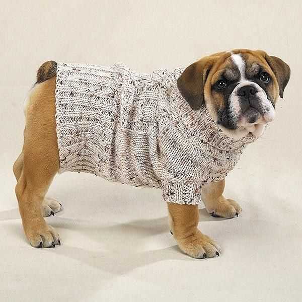 Knitting patterns free for dogs