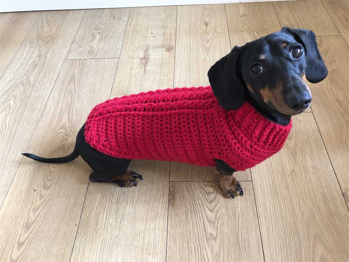 Knitting pattern dachshund sweater