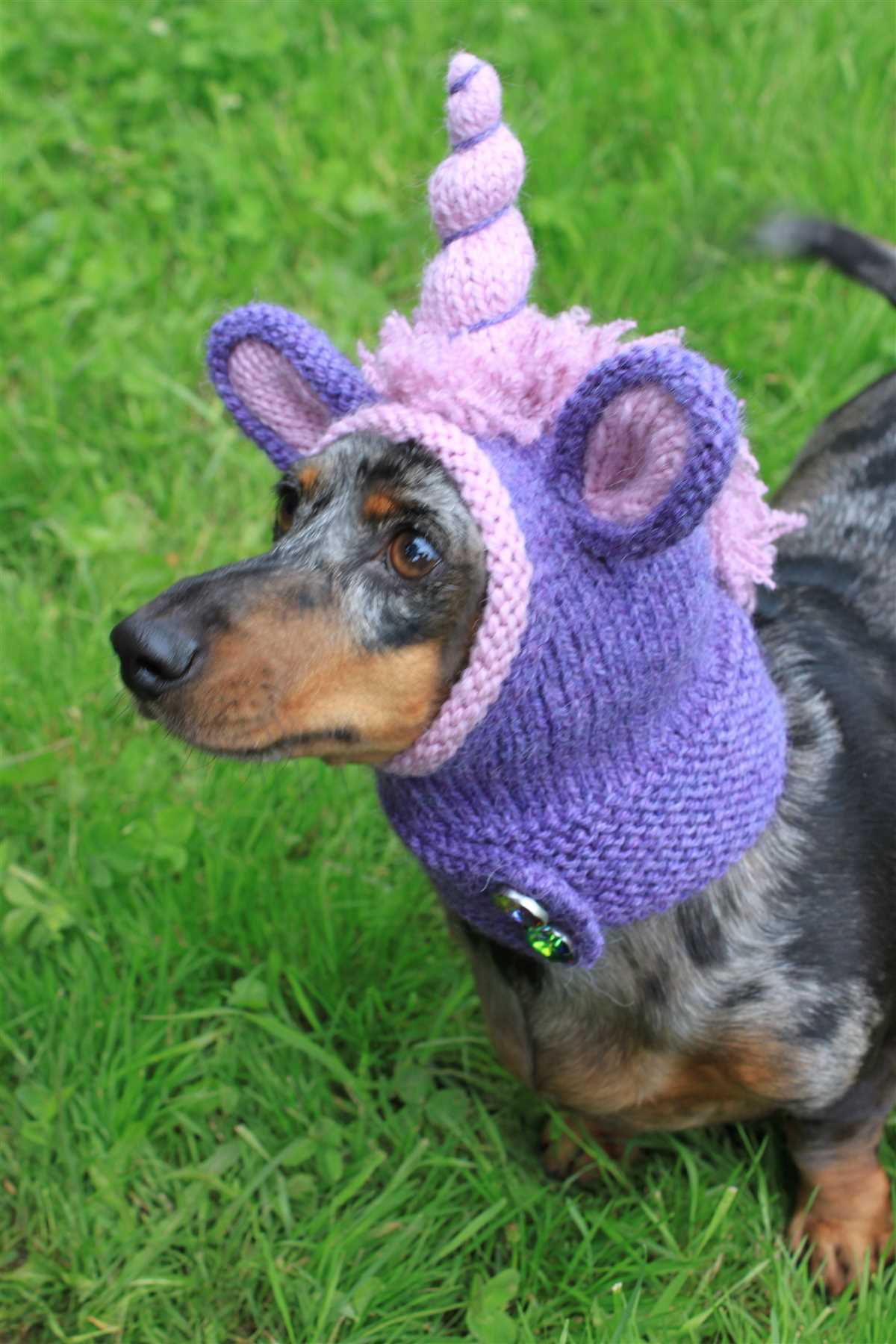 Knitting pattern dog hat