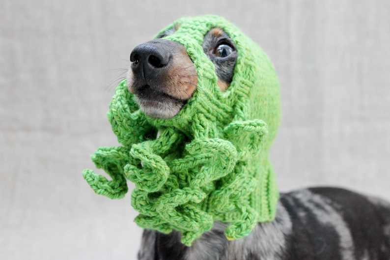 Knitting pattern dog hat
