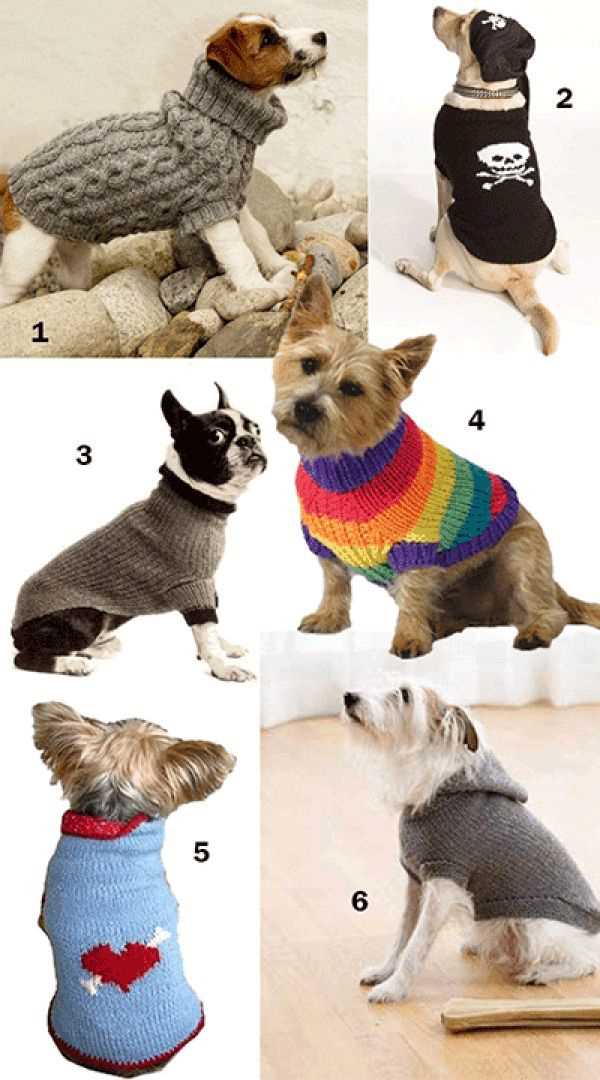 Knitting pattern for dog sweater beginner free