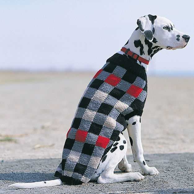 Unleash your pup's style with these complimentary knitting patterns! Knitting patterns free for dogs