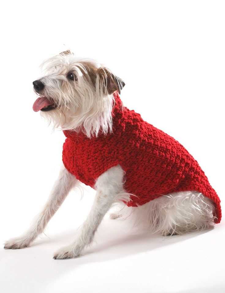 Knitting patterns free for dogs