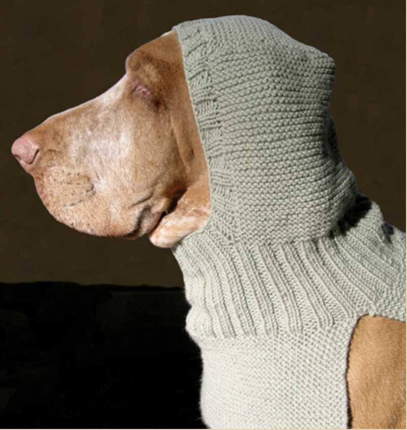 Loom knitting dog sweater patterns