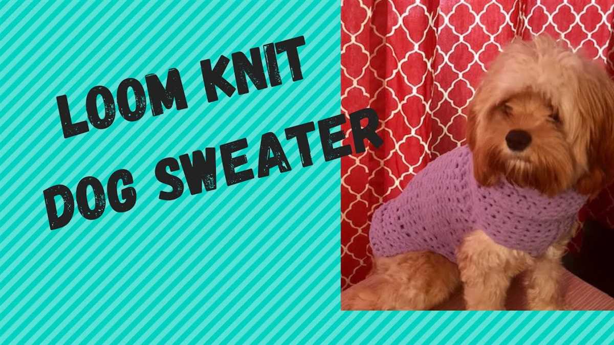 Loom knitting dog sweater patterns