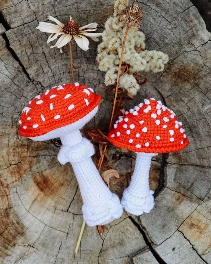 Mushroom knitting pattern free