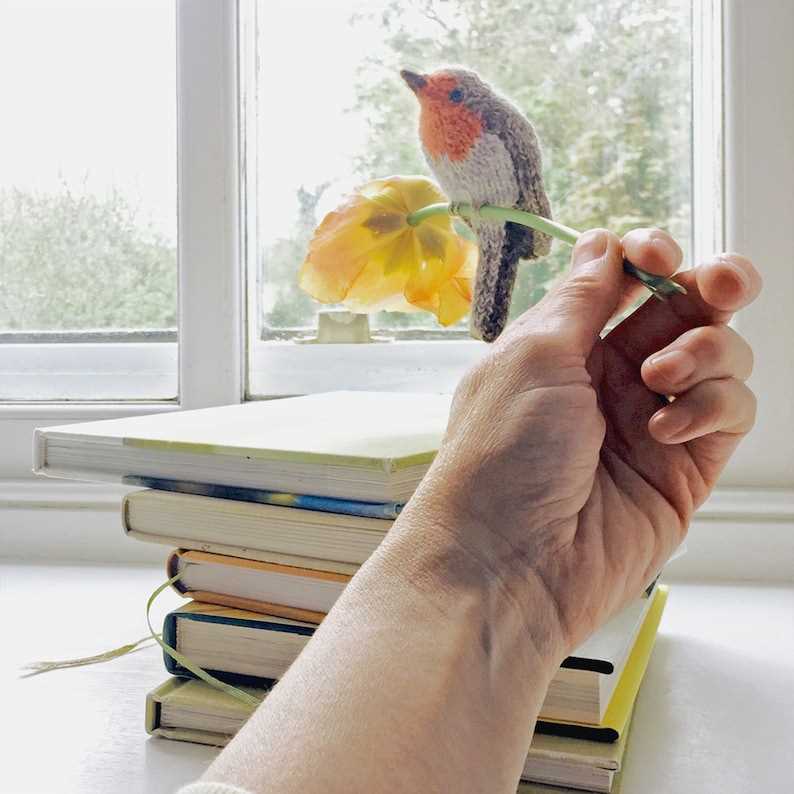 Robin knitting pattern