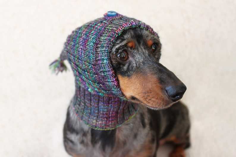 Small dog hat knitting pattern