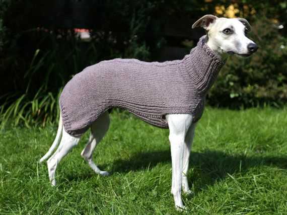 Whippet jumper knitting pattern