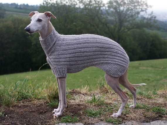 Whippet sweater knitting pattern