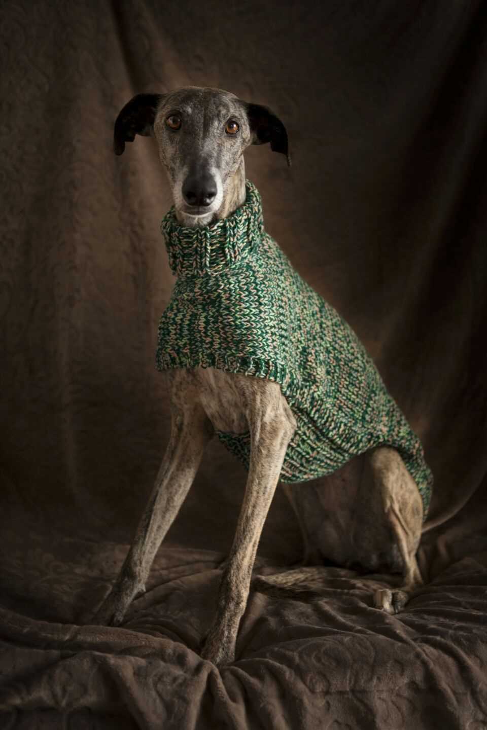 Whippet sweater knitting pattern