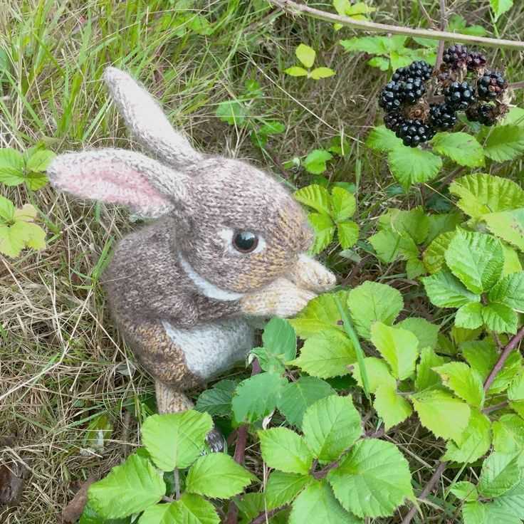 Wild rabbit knitting pattern