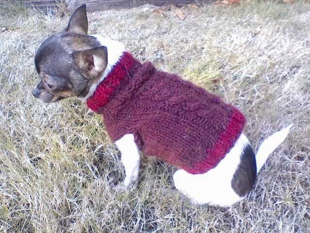 Dog cowl knit pattern
