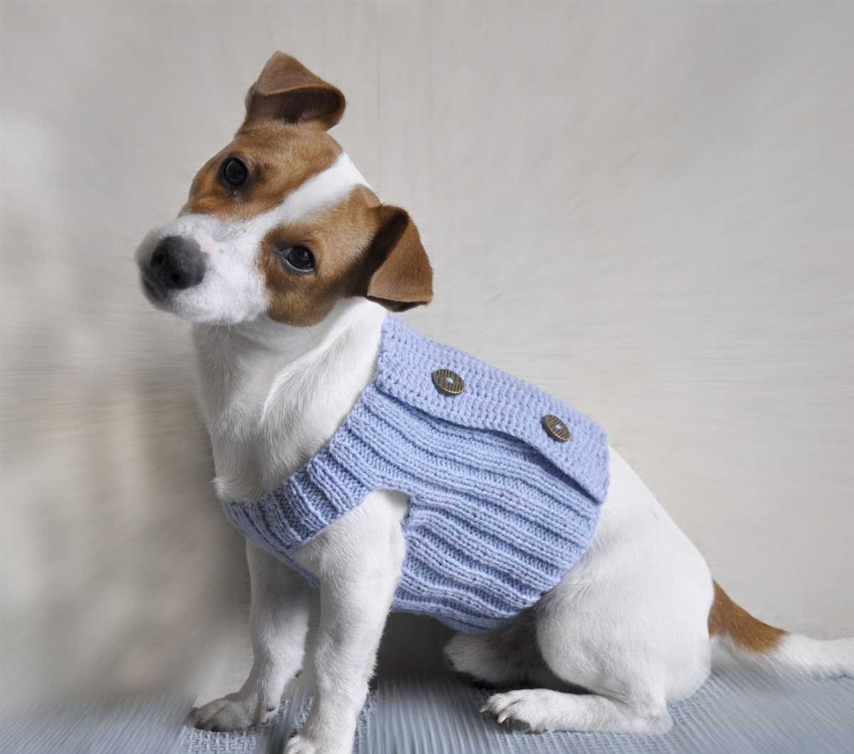 Dog sweater pattern knit
