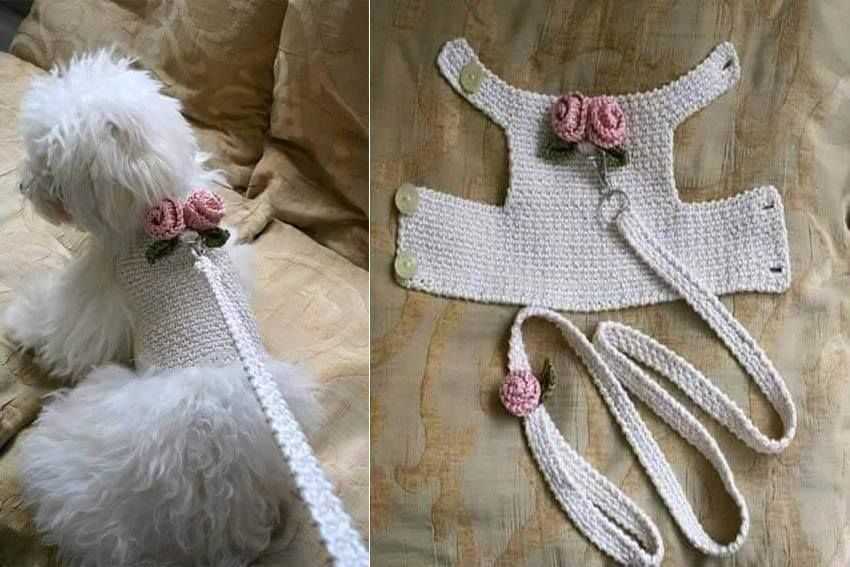 Knitting patterns for pets clothes