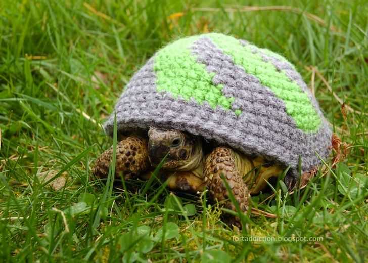 Animal hat knitting patterns for adults