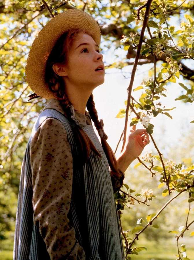 Anne of green gables knitting patterns