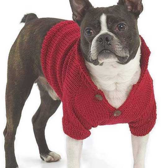 Basic knitted dog sweater pattern