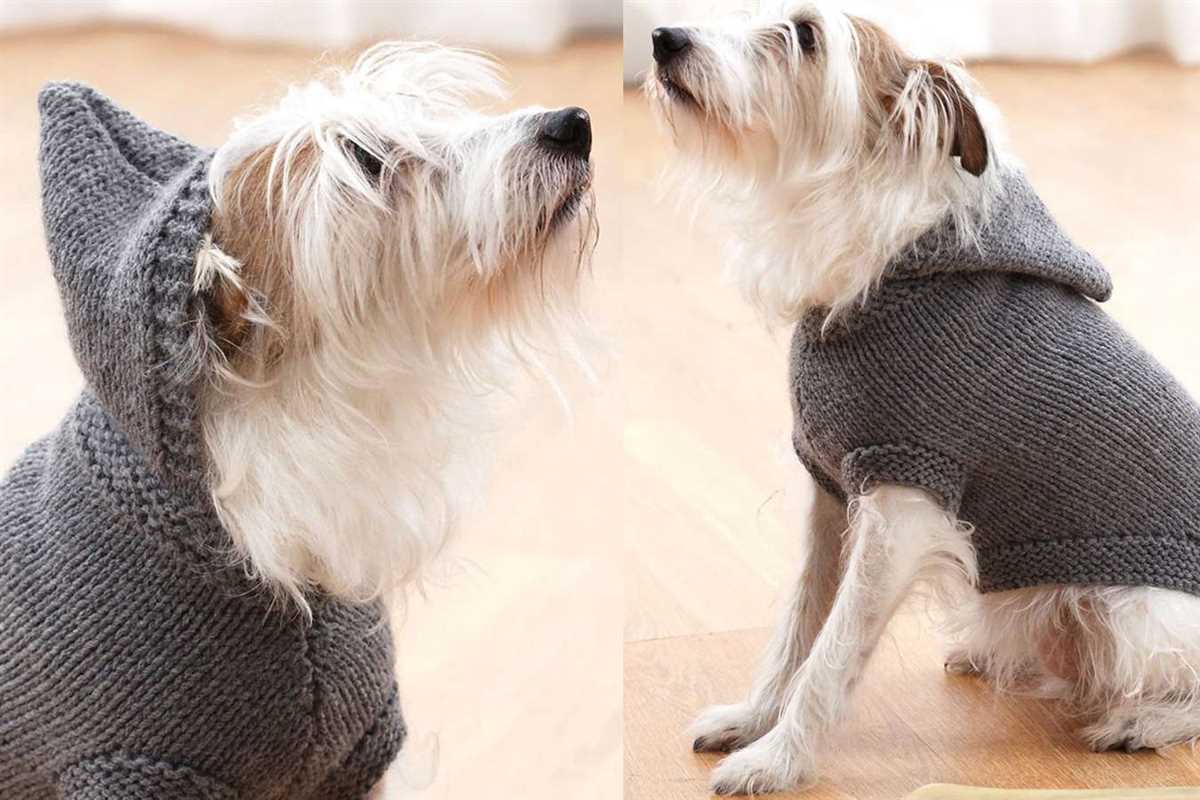 Battersea dog coat knitting pattern