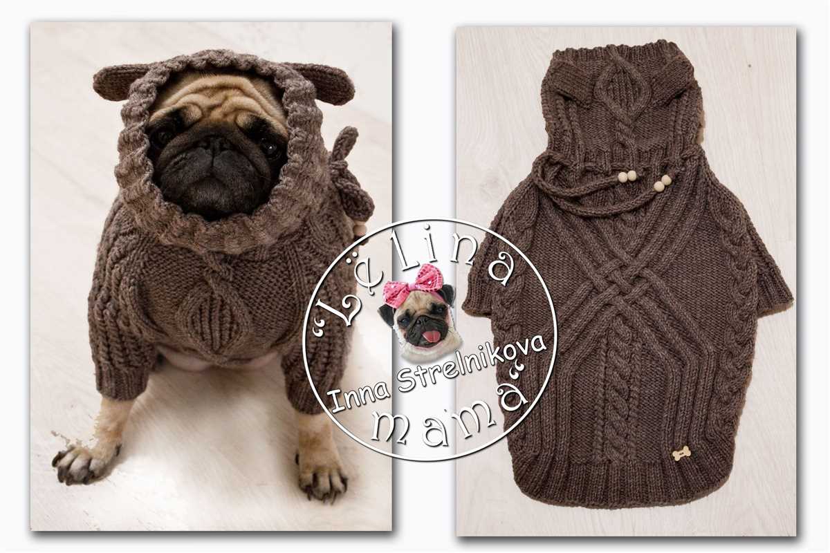 Pug sweater knitting pattern