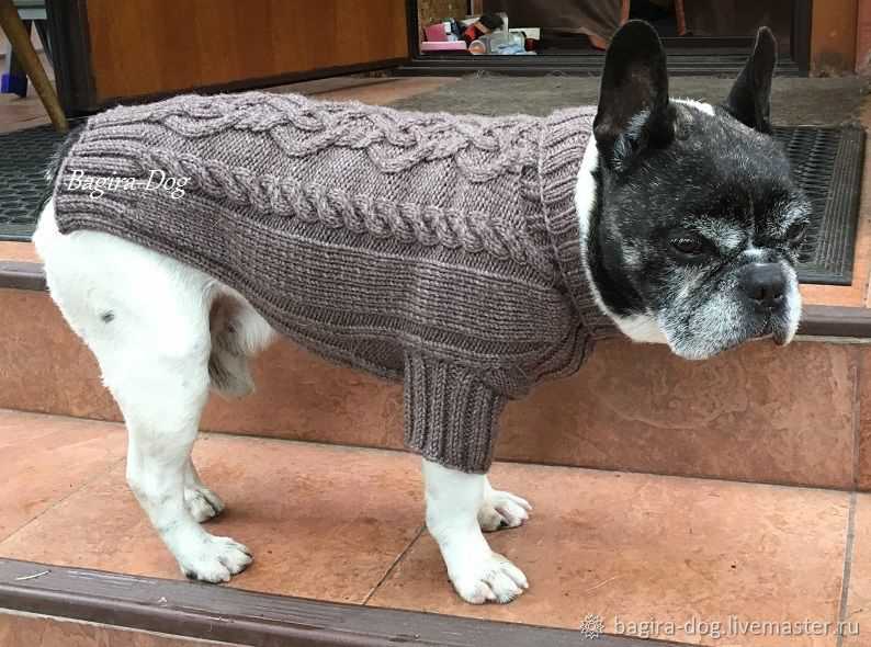Bulldog knitting pattern free