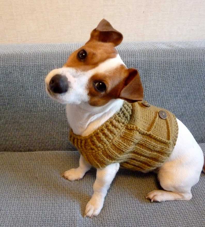 Cat coat knitting pattern