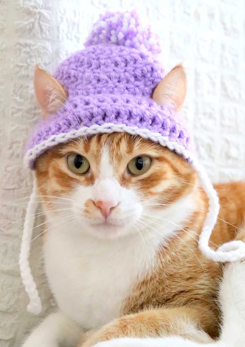 Cat beanie knitting pattern free