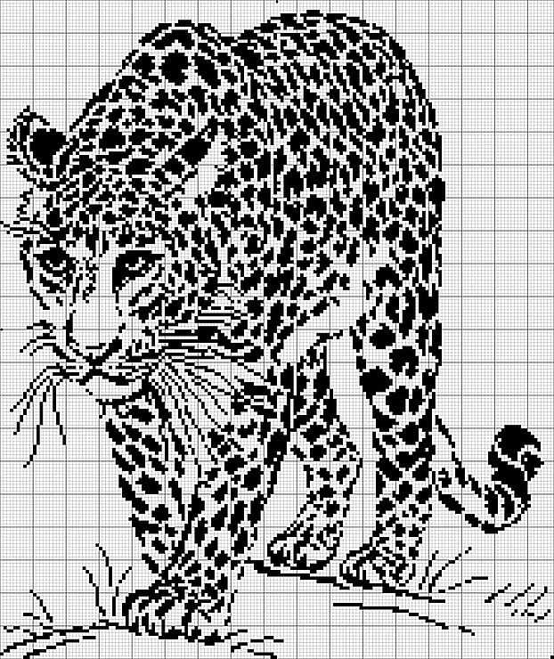 Cheetah knitting pattern