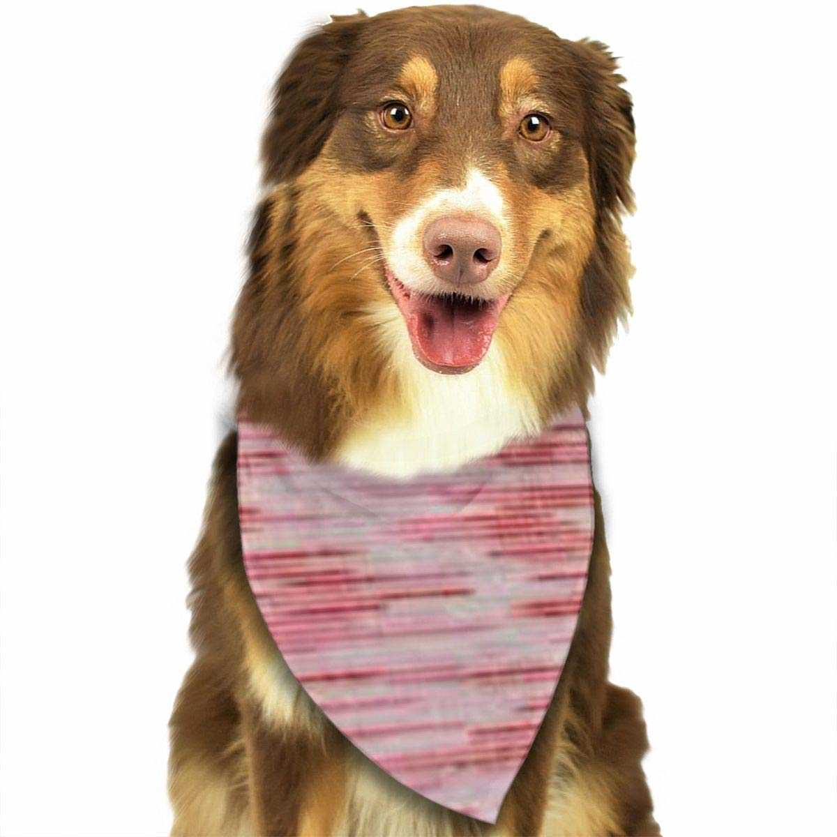 Knitted bandana pattern for dogs