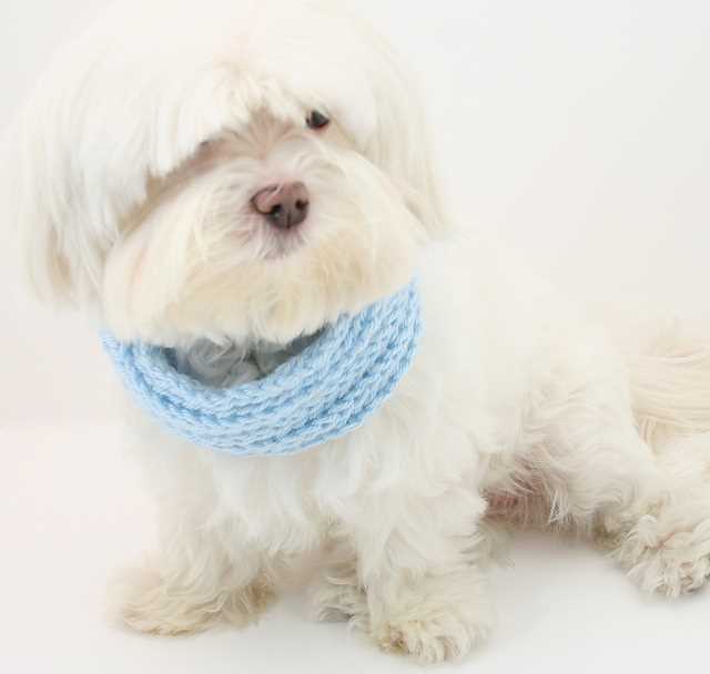 Dog cowl knit pattern