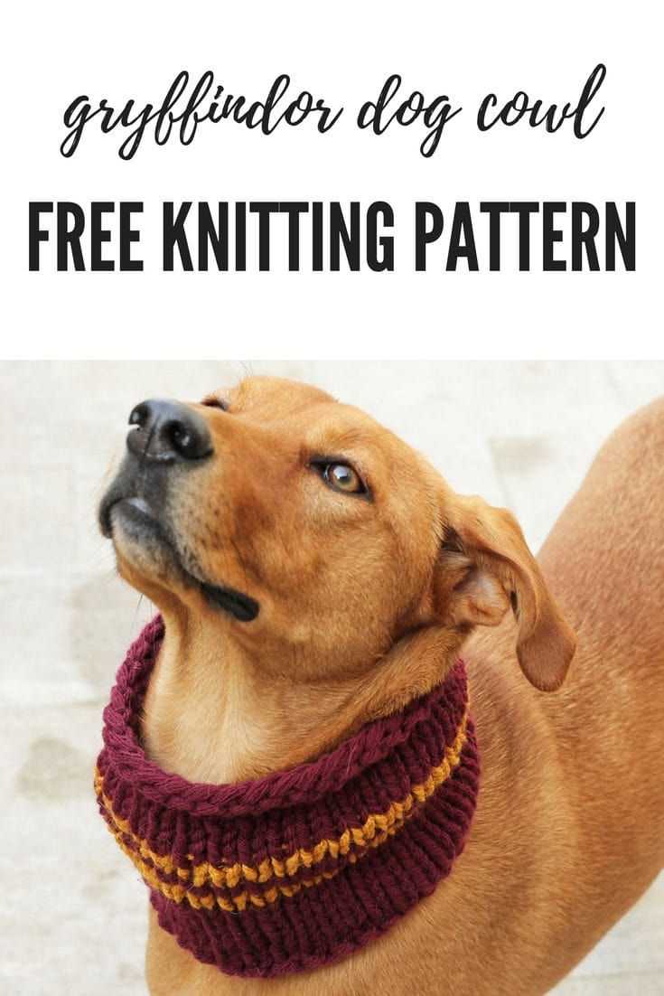 Dog cowl knit pattern