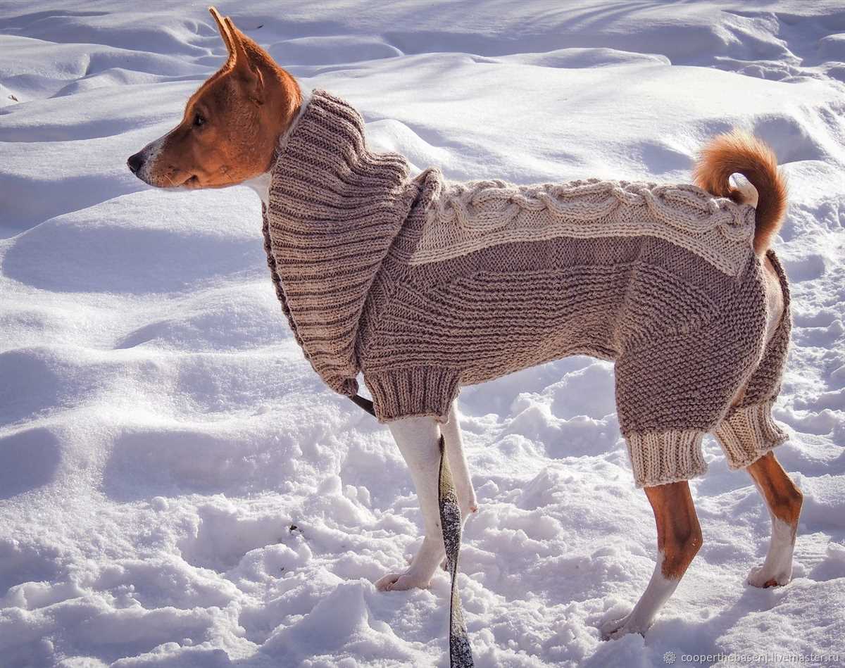 Create a Cozy Sweater for Your Pup with This Loom Knitting Pattern Dog sweater loom knitting pattern