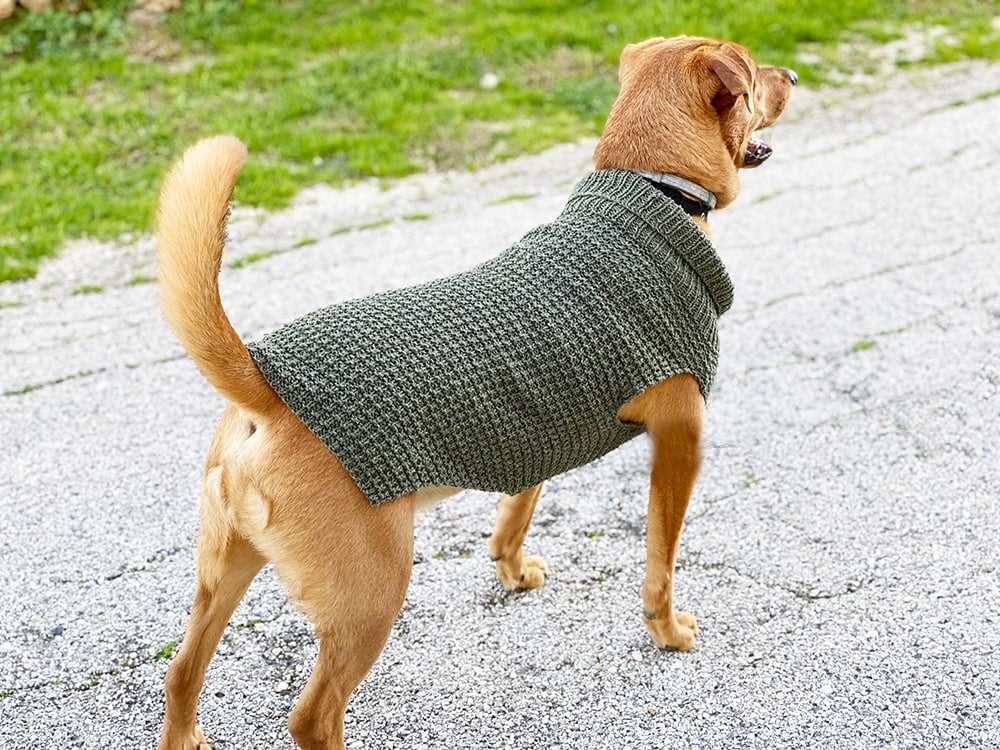 Dog sweater pattern knit