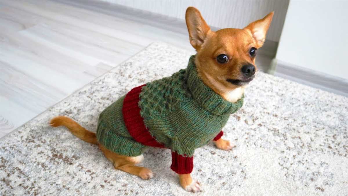 Dog sweaters to knit free patterns