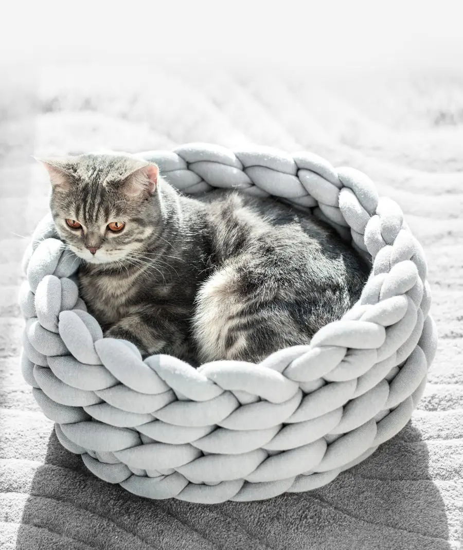 Cozy Knit Haven for Your Furry Friend - Create the Perfect Dog Bed with This Knitting Pattern Dog bed knitting pattern