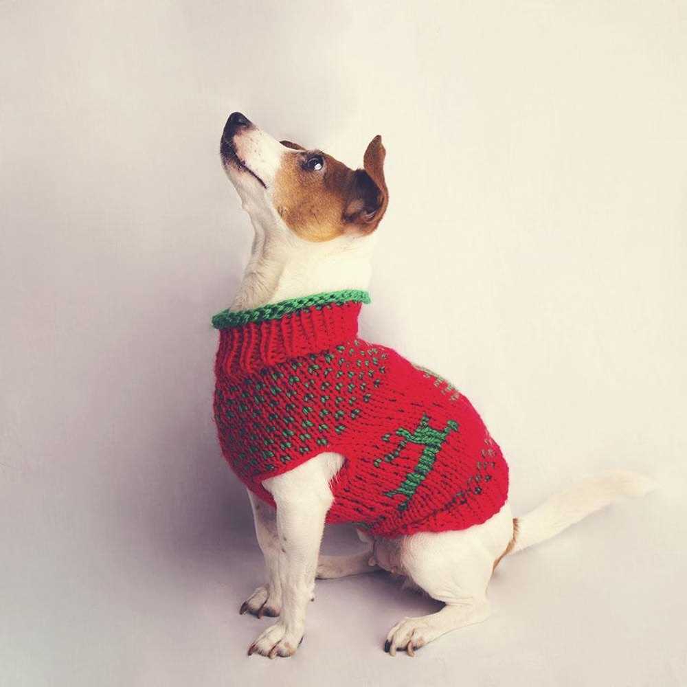 Dog christmas jumper knitting pattern