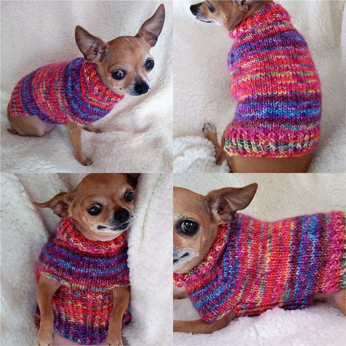 Dog sweater knitting pattern ravelry