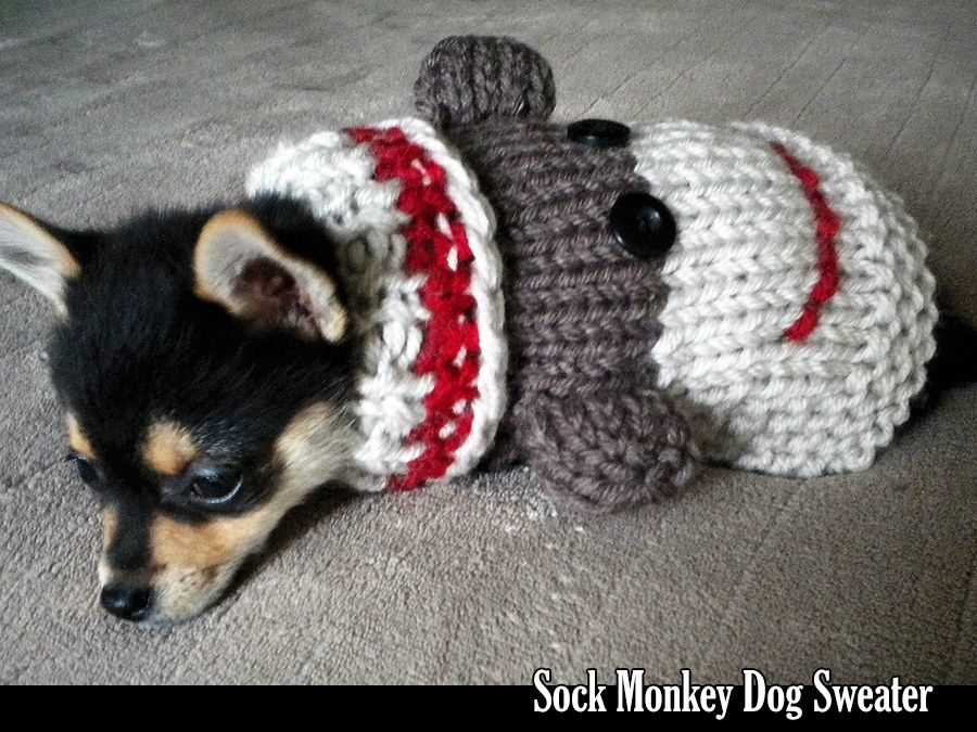 Dog sweater knitting pattern ravelry