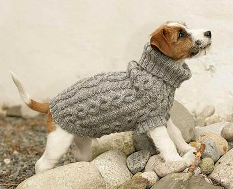 Dog sweater pattern knit